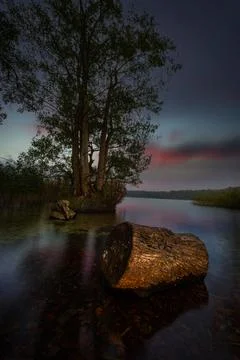 The log in the lake Stockfoto's