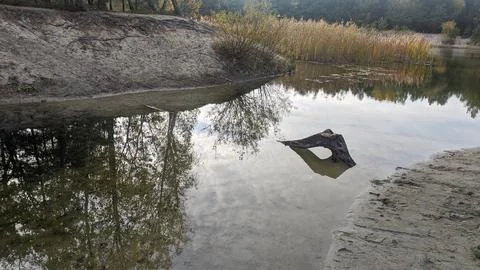 The log lies in the water Stock Photos