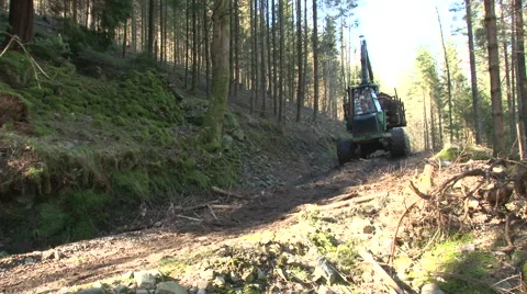 Log lifter driving - forestry 1 Stock Footage 51345540