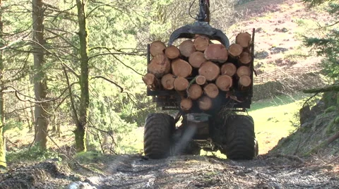 Log lifter driving - forestry Stock Footage 51345527