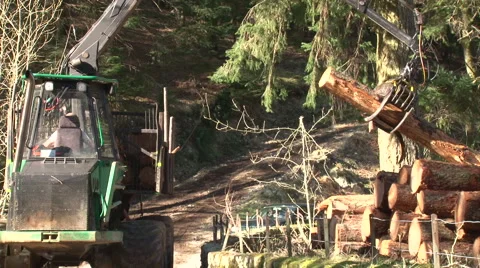 Log lifter handling trees - forestry 4 Stock Footage 51345531