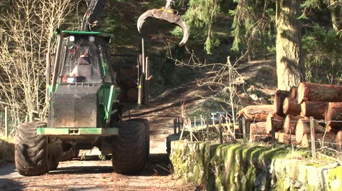 Log lifter handling trees - forestry 6 Stock Footage 51345607