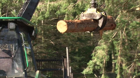 Log lifter handling trees - forestry 7 Stock Footage 51345683