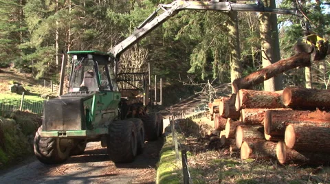 Log lifter handling trees - forestry 9 Stock Footage 51345750