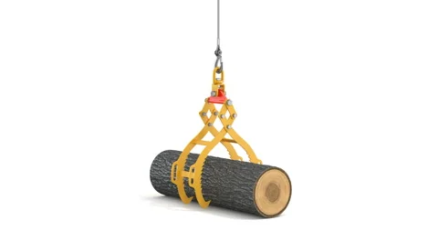 Log lifting tongs holding and transport oak tree 動画素材 306122018