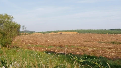 Log loader on clearfell forestry site with log piles Stock Footage 108065664