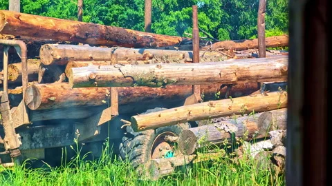 Log loader crane releases timber with mechanical claw to place pine log in Stock Footage 314700340
