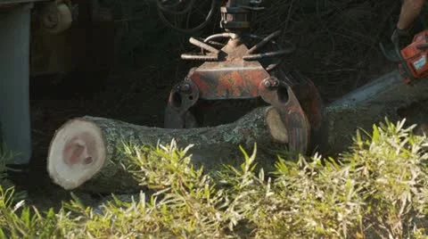 Log Loader Lifts Log 库存影片 12088162