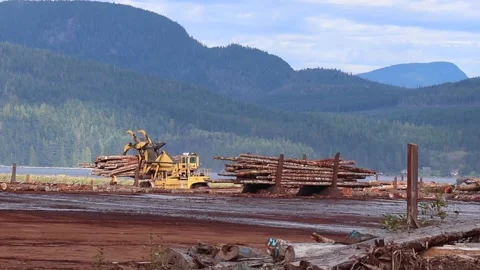 The log loader moves logs at Dryland Log Sort in the village of Sayward Stock Footage 142189163