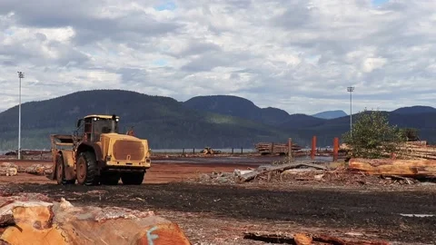 The log loader moves logs at Dryland Log Sort in the village of Sayward Stock Footage 142189178