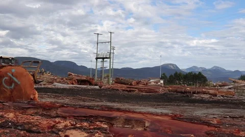 The log loader moves logs at Dryland Log Sort in the village of Sayward Stock Footage 142189183
