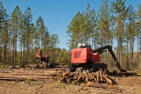 Log loader Foto stock