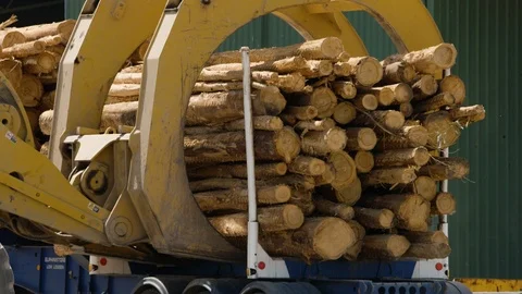 Log loader unloading timber from truck at Condah, Victoria, Australia. Stock Footage 98899318