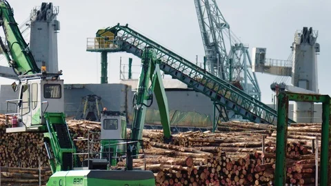 Log loaders operating in busy export port in Australia. Stock Footage 87850713