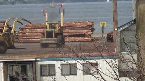 Log Loading 13 Stock Footage 5165759