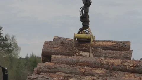 Log Lorry collecting logs view of the loading claw Stock Footage 201463869