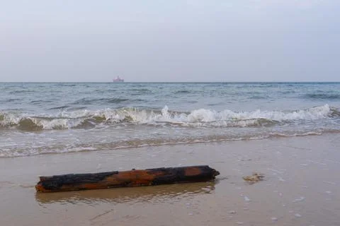 Log lying on the beach, clear wave patterns, aquaculture facility Stock Photos