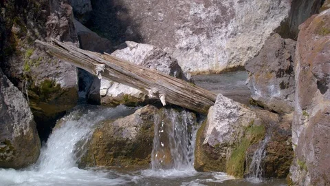 Log Lying over a Rock in the Middle of Paulina Falls Stock Footage 90583597