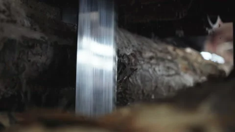 Log Making Saw Machine Working Process At A Timber Manufactory Warehouse Stock Footage 168648496