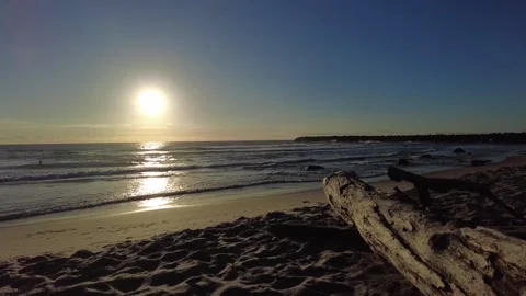 Log by the ocean Stock Footage 273038153