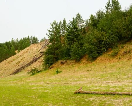 A log of an old tree is lying on the shore near the hills with trees of the f Stock Photos