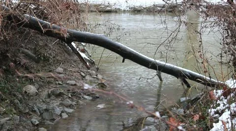 Log over River Stock Footage 10577444