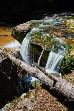 Log over small waterfall with brown river and algae Stock Photos