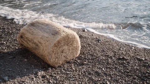 Log on Pebble Beach and Calm Sea Stock Footage 111370470