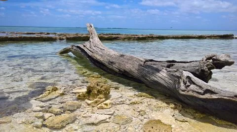 Log Philippines Stock Photos