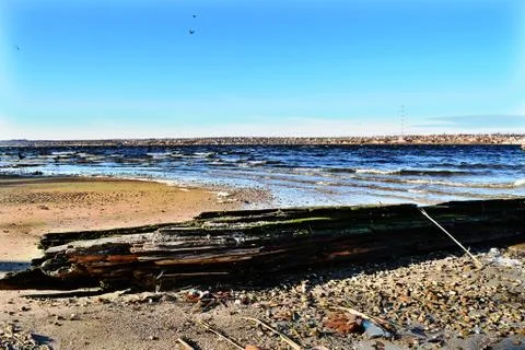 The  Log Stockfoto's