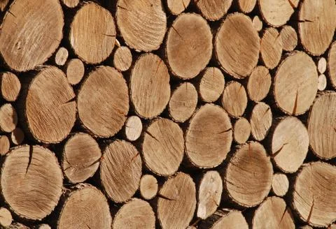 Log Stock Photos