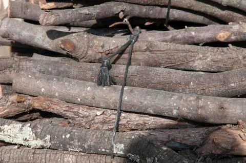 Log pile Stock Photos