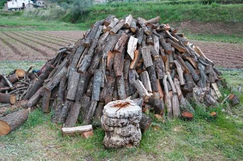 Log pile 스톡 사진