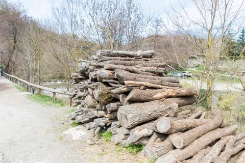 Log pile 写真素材