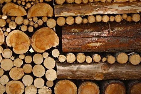 Log Pile Stock Photos