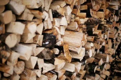 Log pile Stock Photos