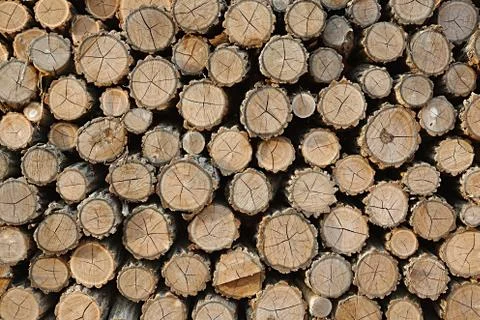 Log Pile Stock Photos