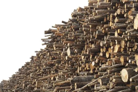 Log pile Stock Photos