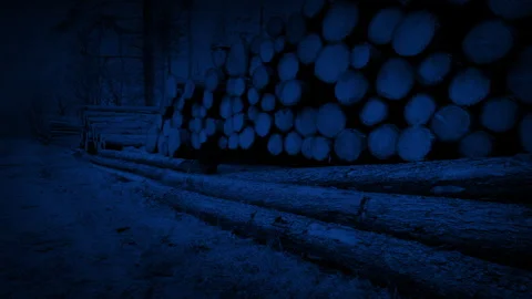 Log Pile In The Woods At Night Rising Shot Stock Footage 286102876