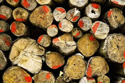 Log piles of old with texture. Stock Photos