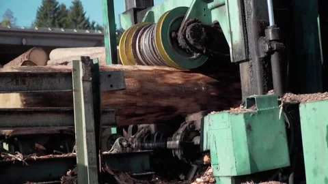 Log processing Stock Footage 143695897