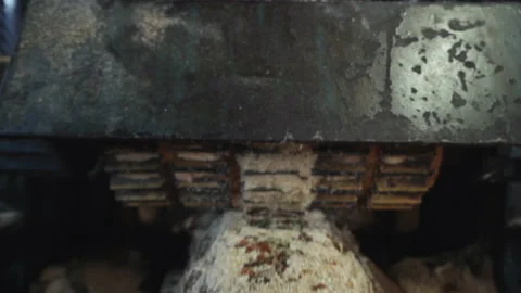 Log Processing Saw Industrial Equipment Automated Work During Wood Production Stock Footage 168647407