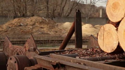 Log production plant processing chips Stock Footage 61032577