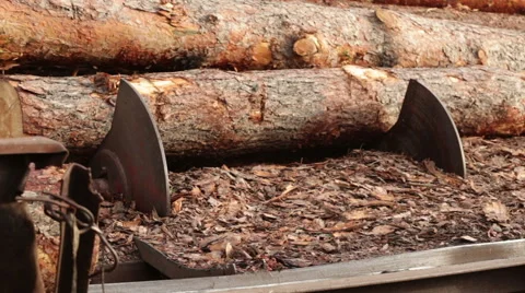 Log production plant processing chips Stock Footage 61032718