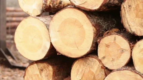 Log production plant processing chips Stock Footage 61035670