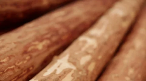 Log production plant processing chips Stock Footage 61035790