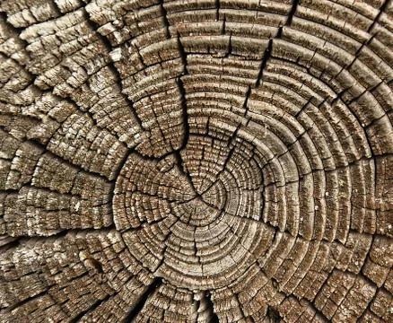 Log profile Stock Photos