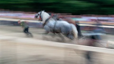 Log pulling event with horses Stock Photos
