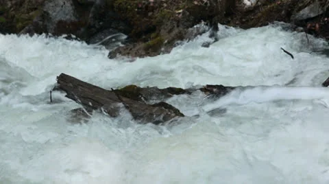 Log in raging flood river snow melt Alaska HD 7158 Stock Footage 24717305