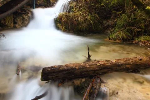 Log in rapids Stock Photos